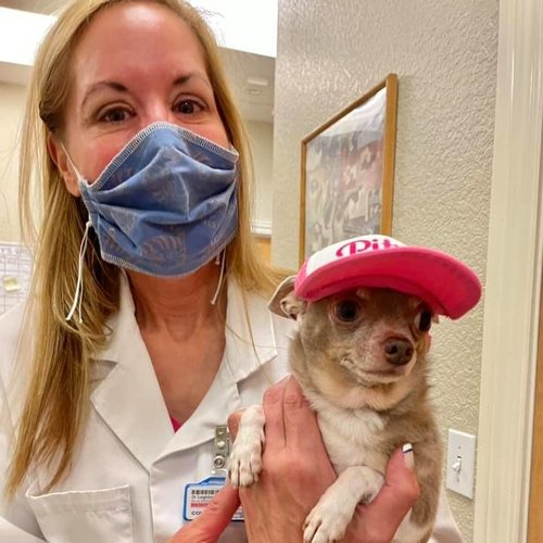 Dr. Leigh Ann Farrar